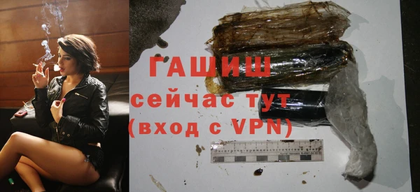 крисы Кулебаки