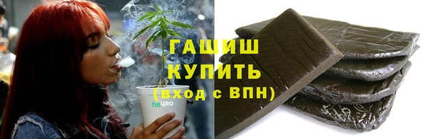 крисы Кулебаки
