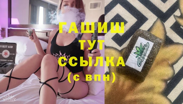 крисы Кулебаки