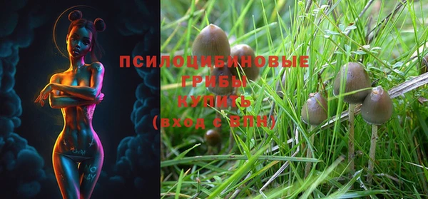 mix Кукмор
